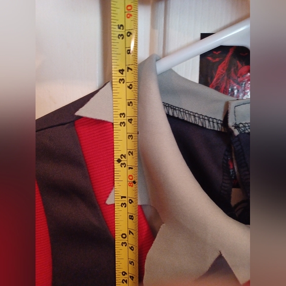 Zombie Apocalypse Costume - Picture 5 of 5